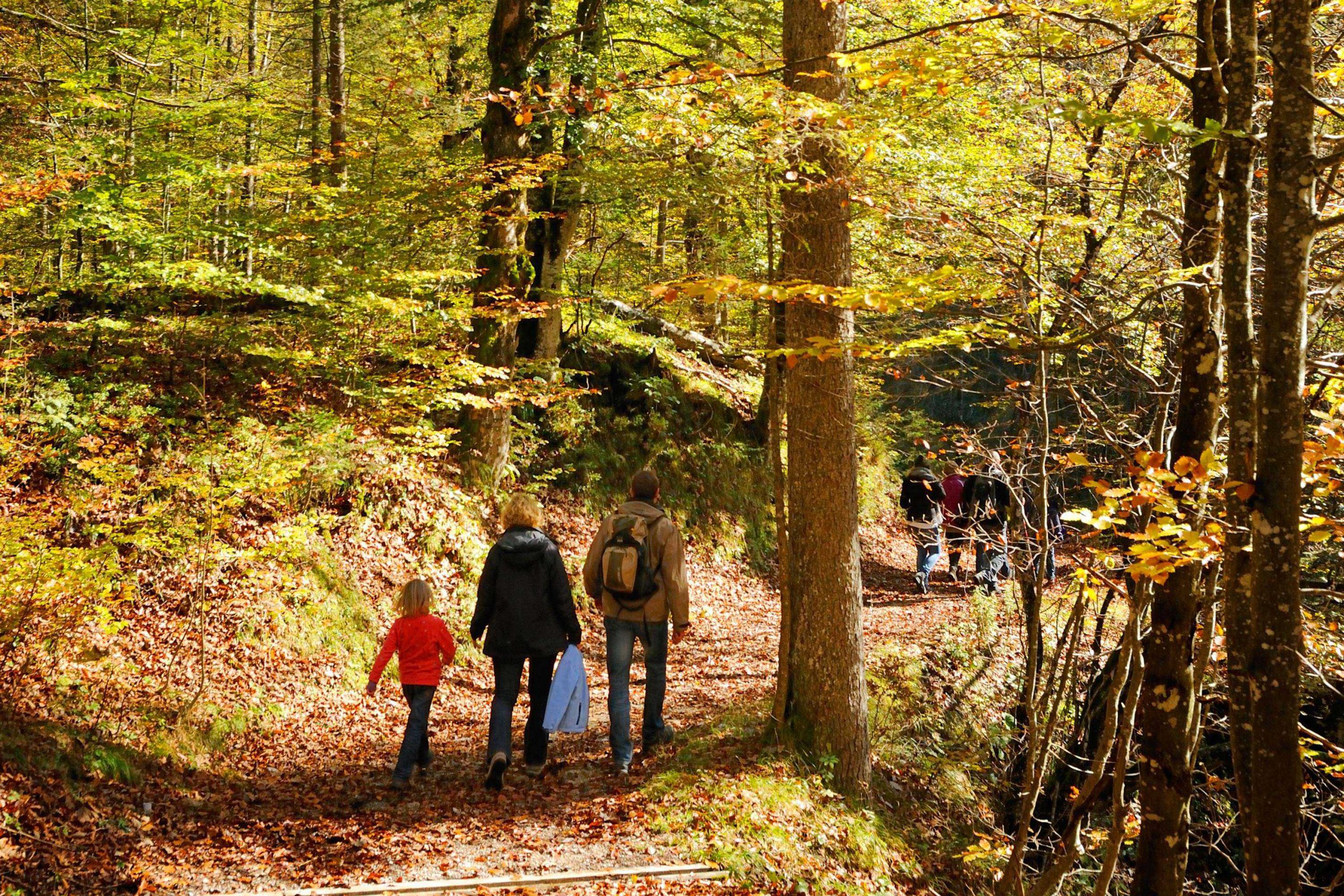 Urlaub-auf-dem-Bauernhof-Chiemsee-Oberbayern_PG_15